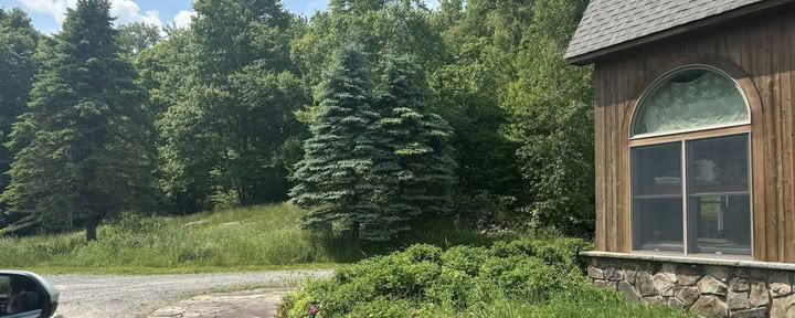 Somewhere In Time Farm