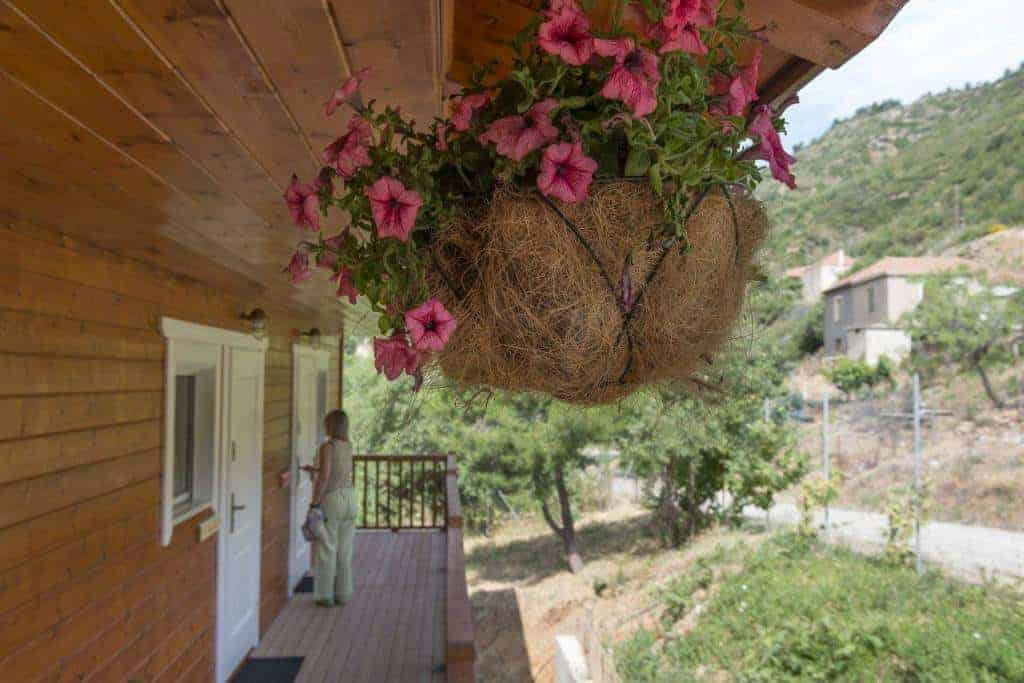 Ktima Noosfera Wellness & Retreat Center