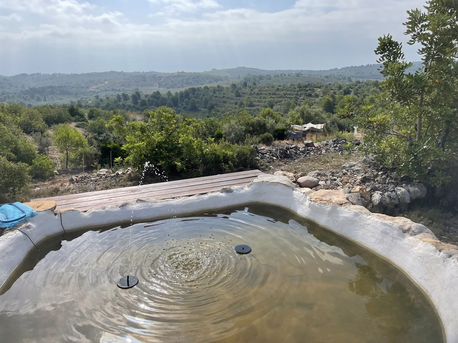 WILD SPIRIT Eco Cultural Farm