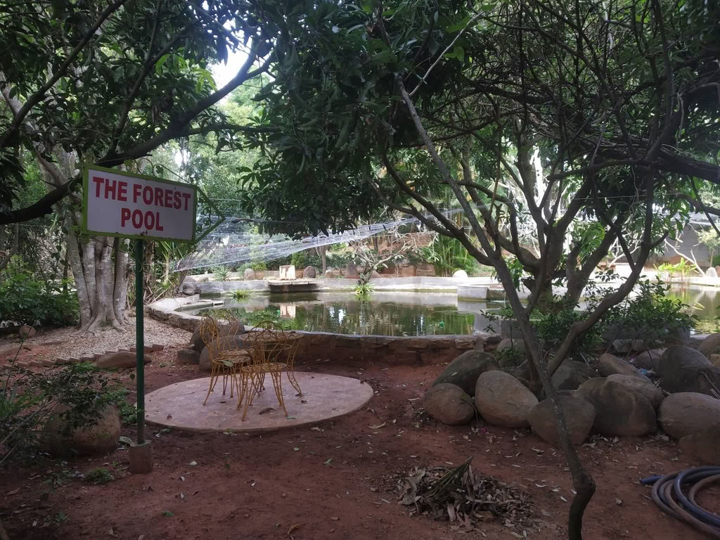 The School of Ancient Wisdom