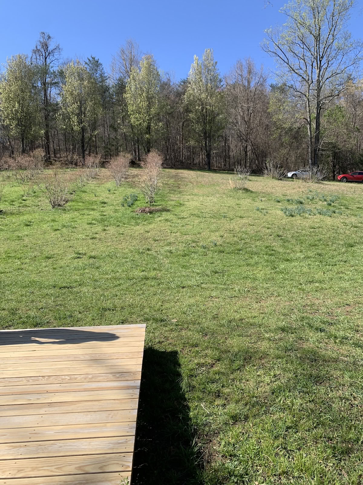 Yoga On The Meadow