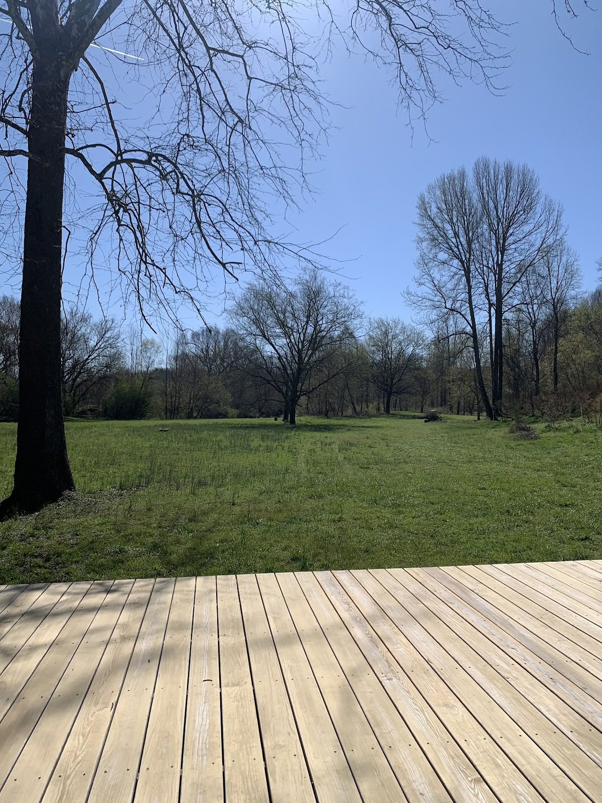 Yoga On The Meadow