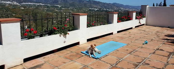 Yoga Holiday Paradiso. La Rejana