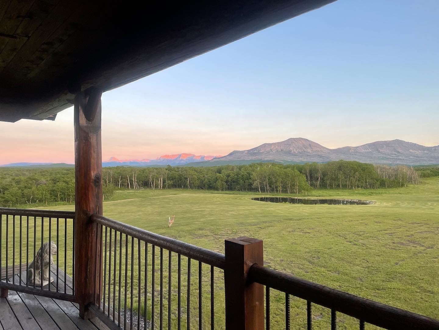 Bee & Bear Lodge