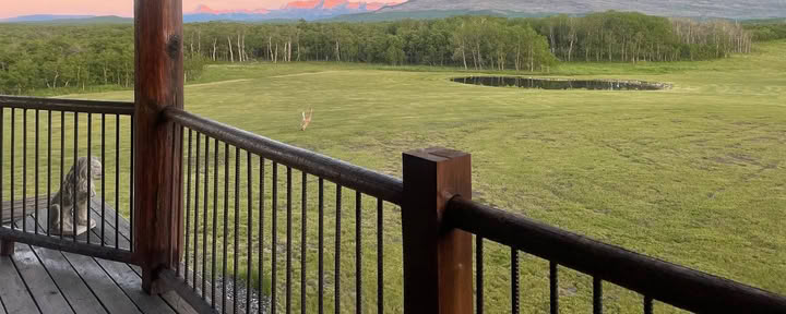 Bee & Bear Lodge