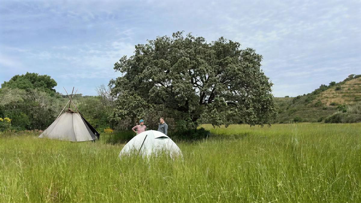 Woodland Survival School