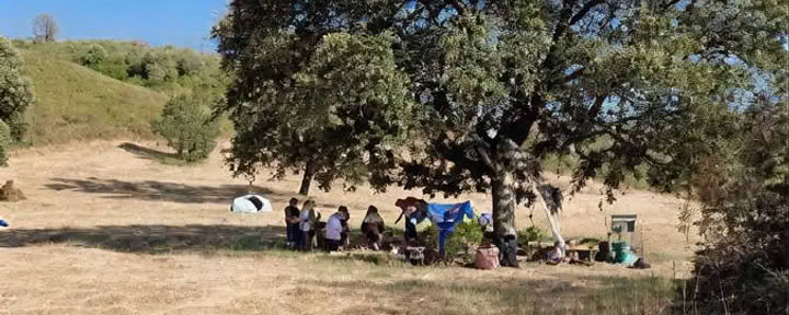 Woodland Survival School