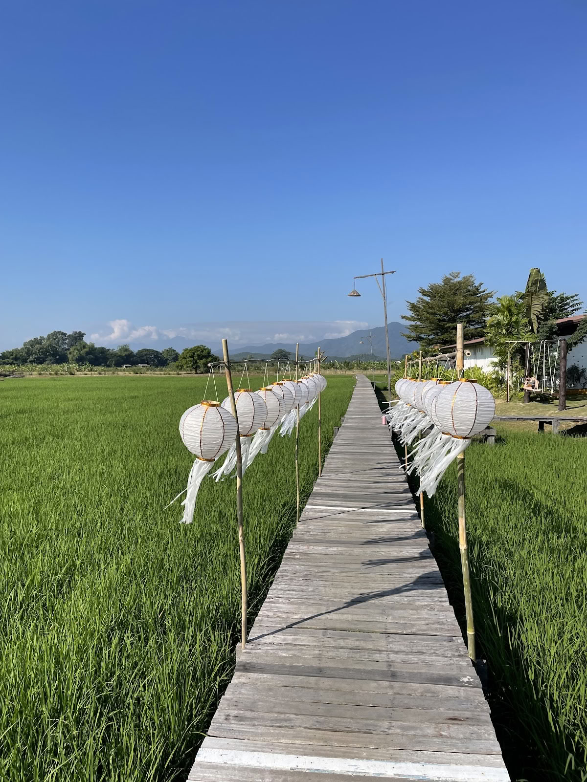 Suan Sati Yoga Retreat Center