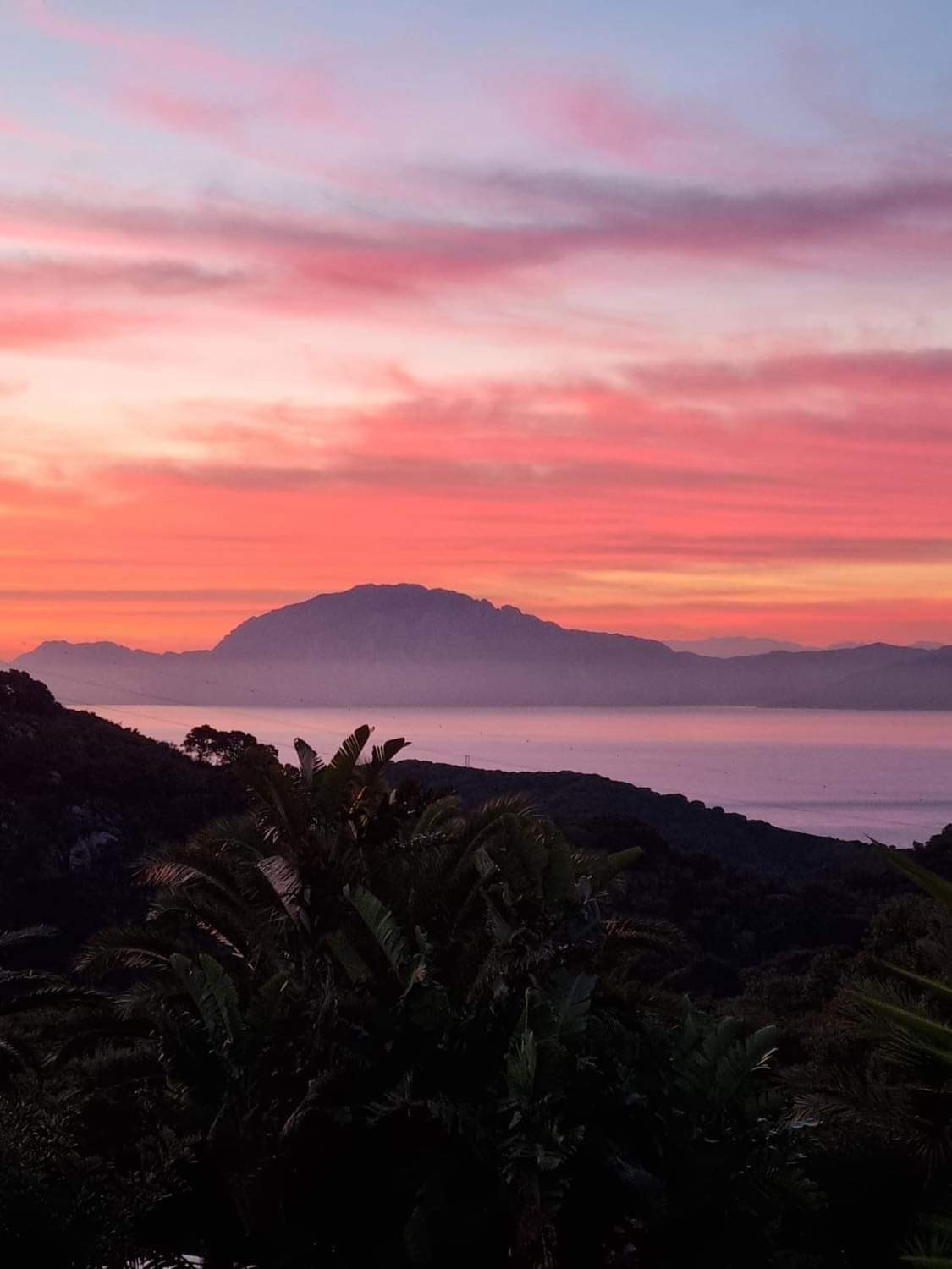 The Fitness Retreats