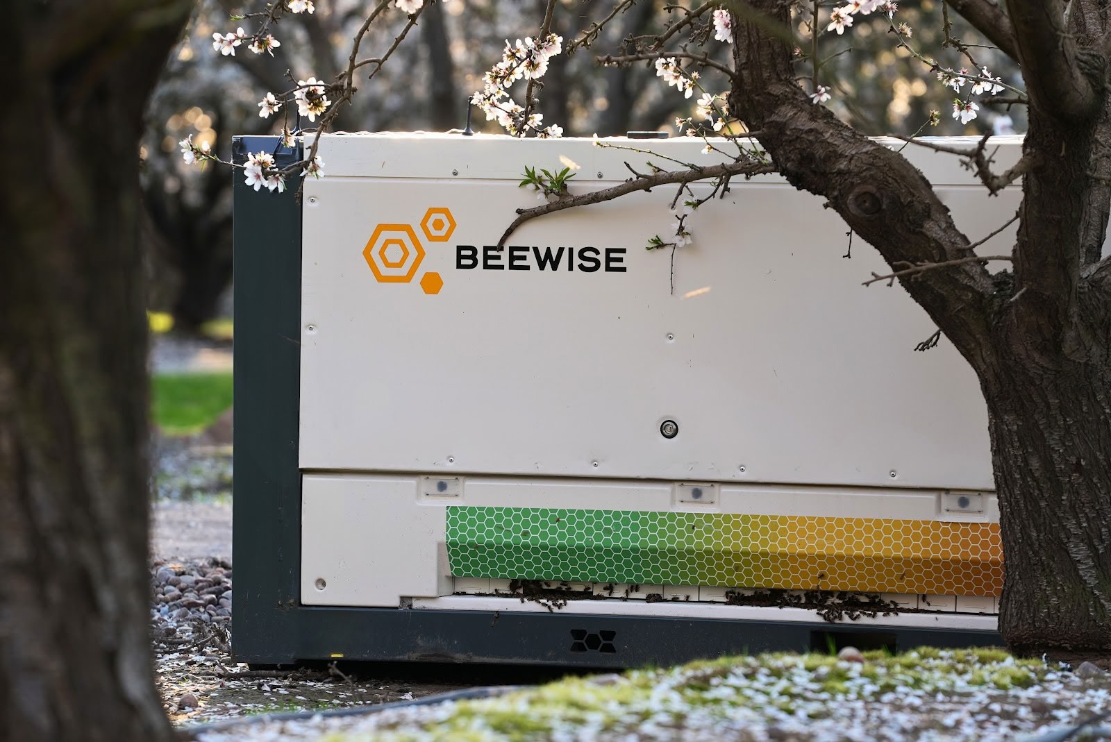 Beewise