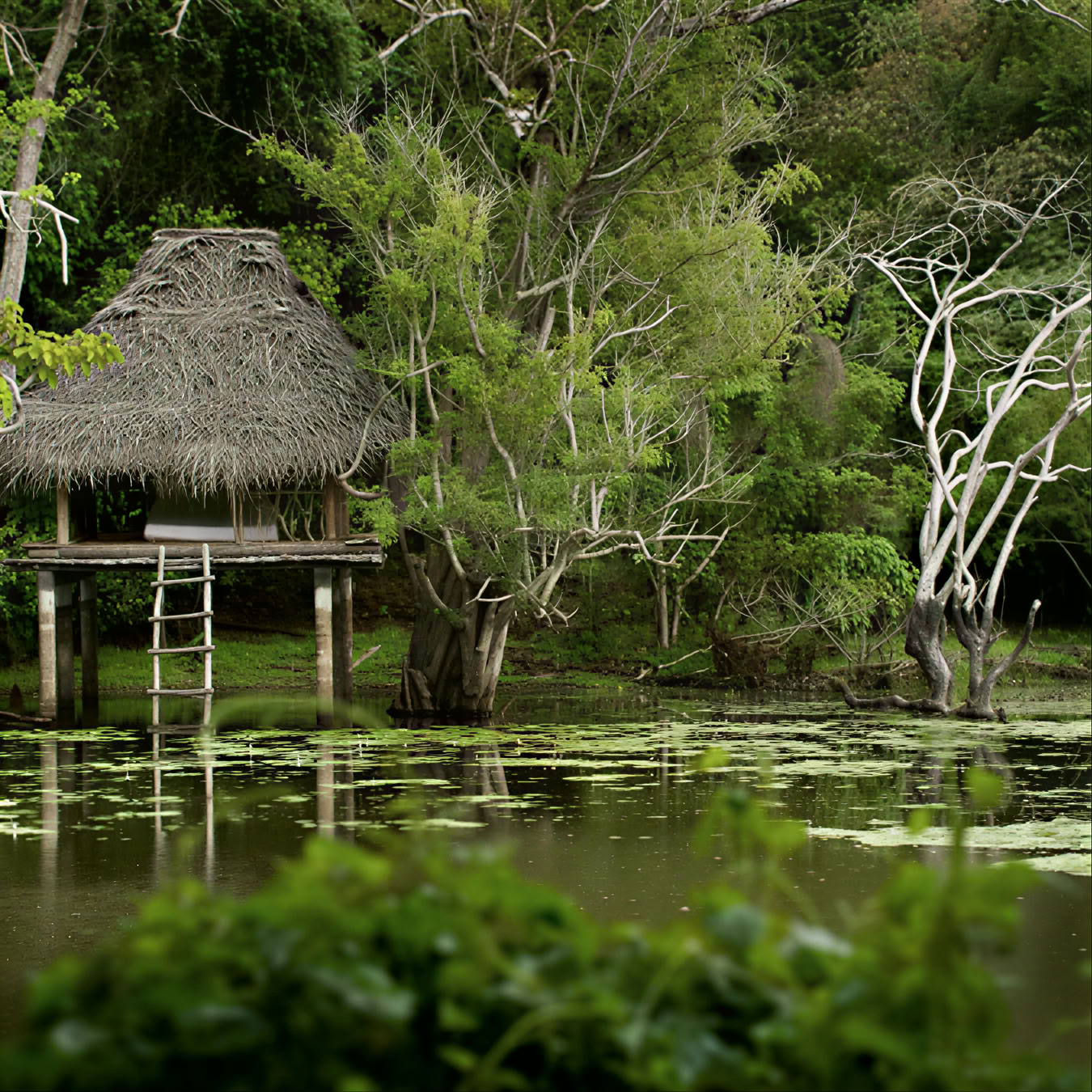 Ulpotha Yoga & Ayurveda Retreat
