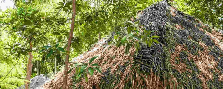 Ulpotha Yoga & Ayurveda Retreat