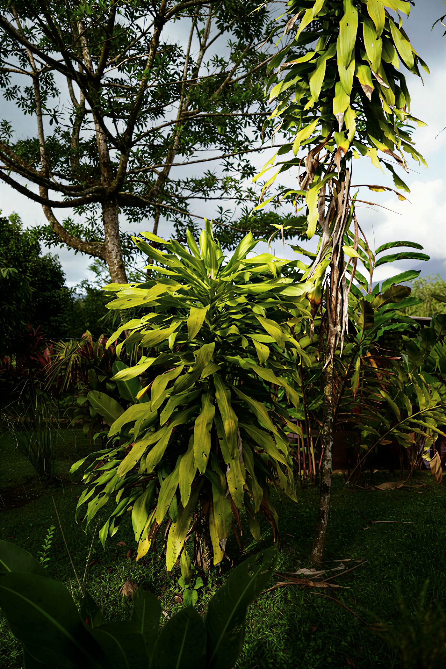 Essence Arenal Hotel, Spa & Bio Farm