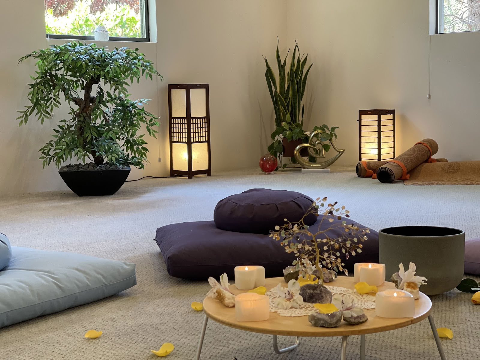 Sedonya Conscious Living Center