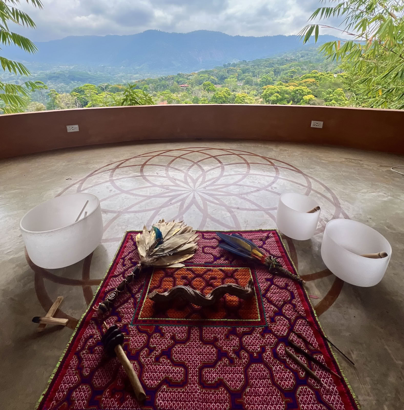 ANIMA HEALING INSTITUTE