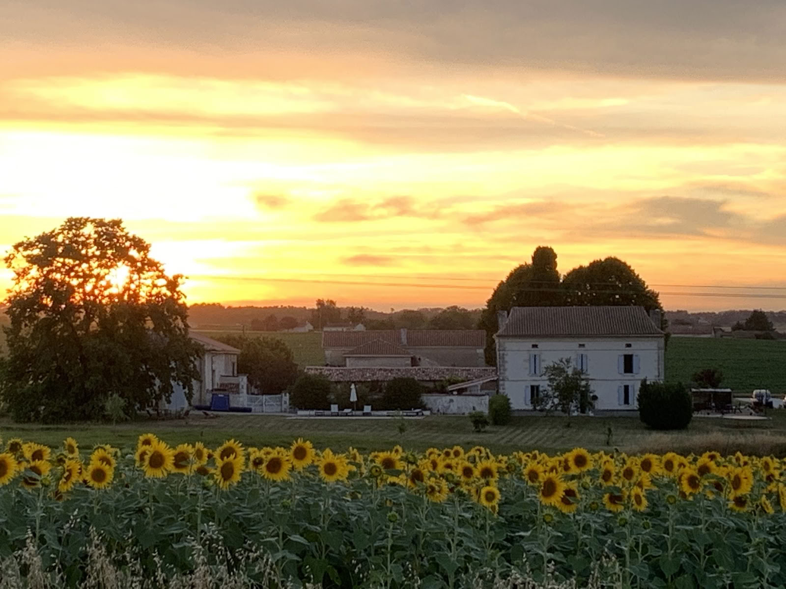 The French Retreat
