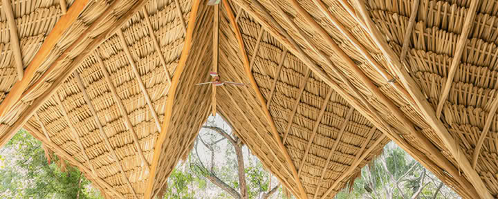 Vida Sana Retreats