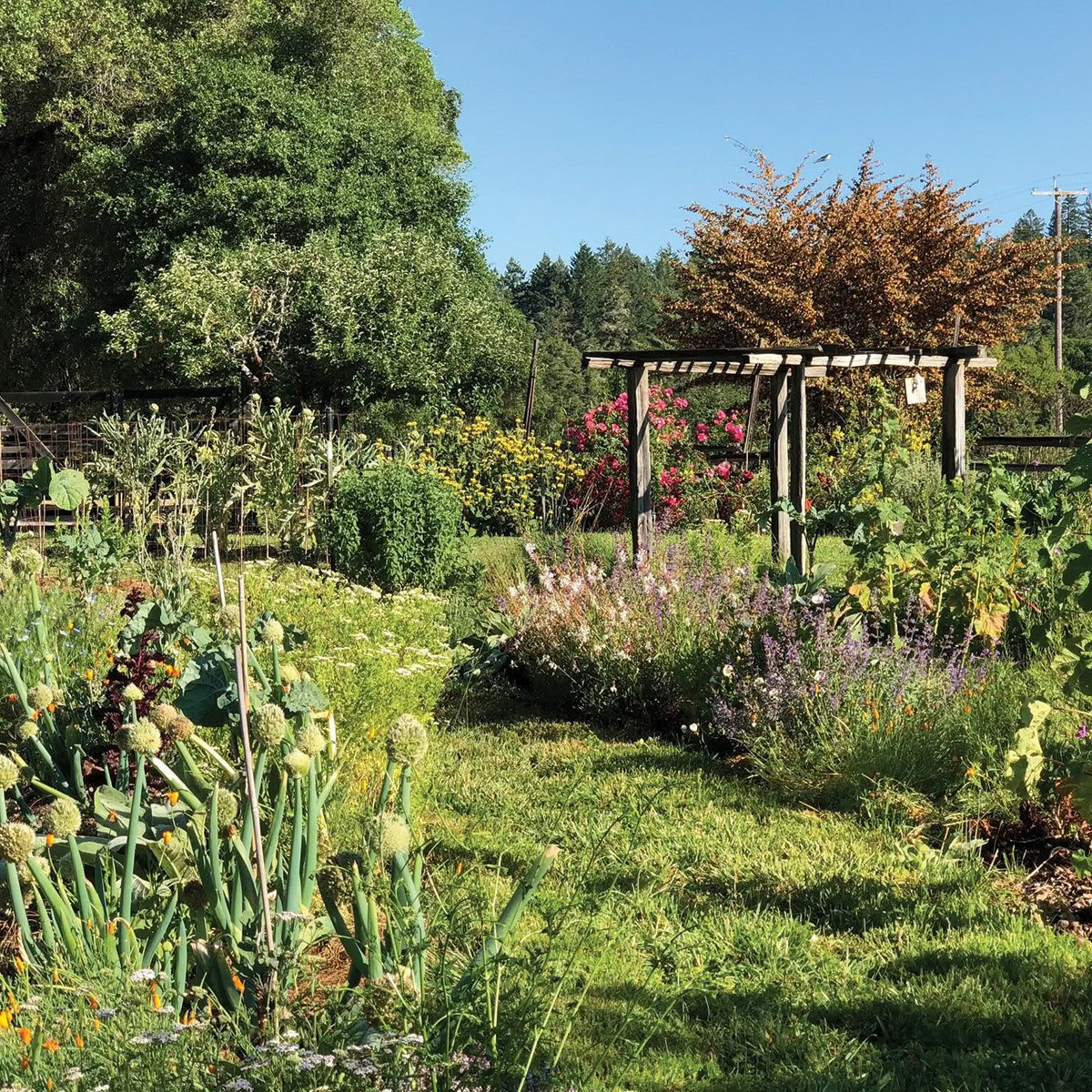 Van Zandt's Redwood View Resort