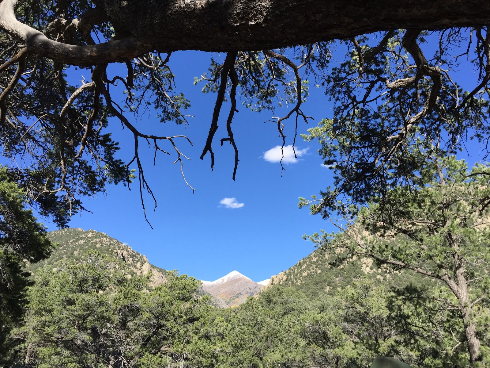 Way of Nature & Sacred Land Sanctuary