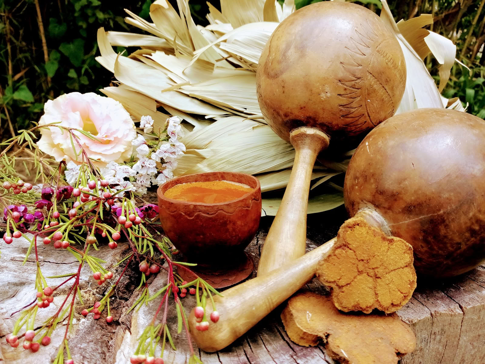 Sun Healing - Ayahuasca Ceremony