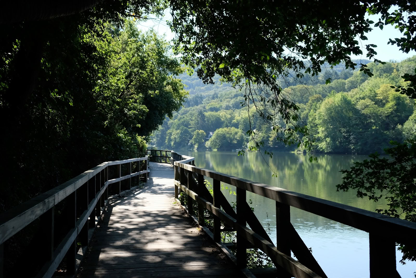 Anandam Yoga School — Eifel National Park