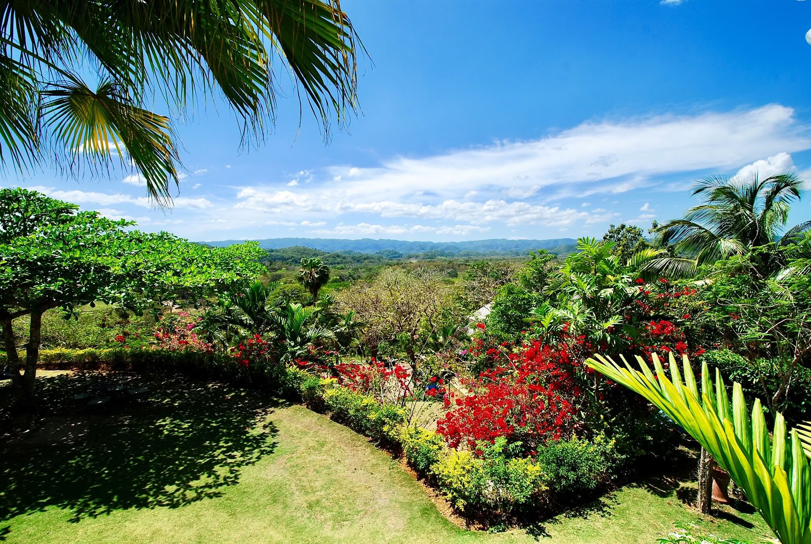 Good Hope - Jamaica