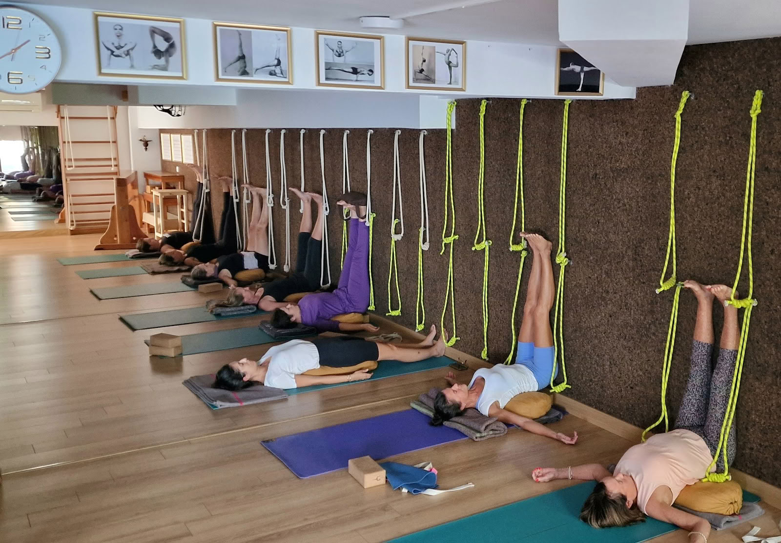 Sol Viegas Iyengar Yoga & Massage