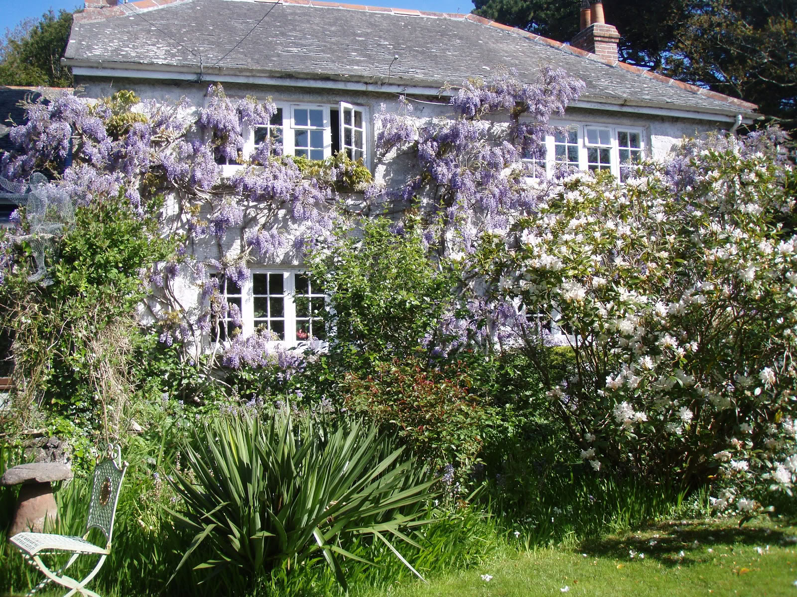 Rosemerrynwood