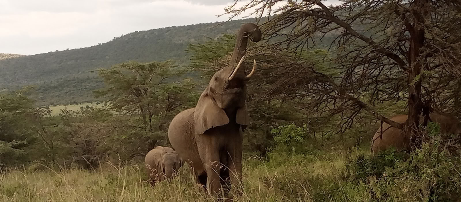 Entumoto Safari Camp