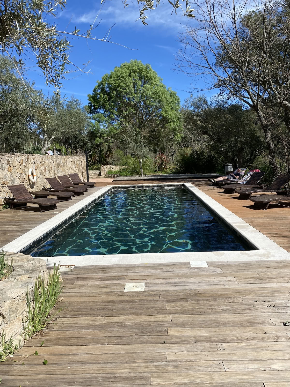 Serra Vida - A Place Of Presence