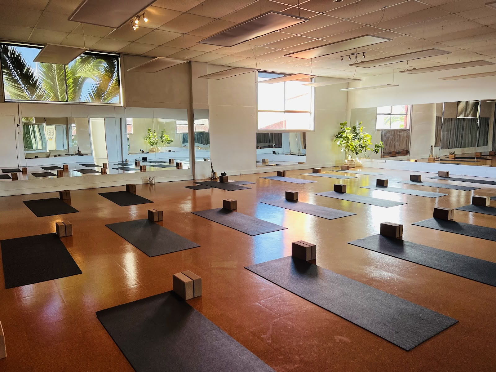 Grass Roots Yoga + Pilates