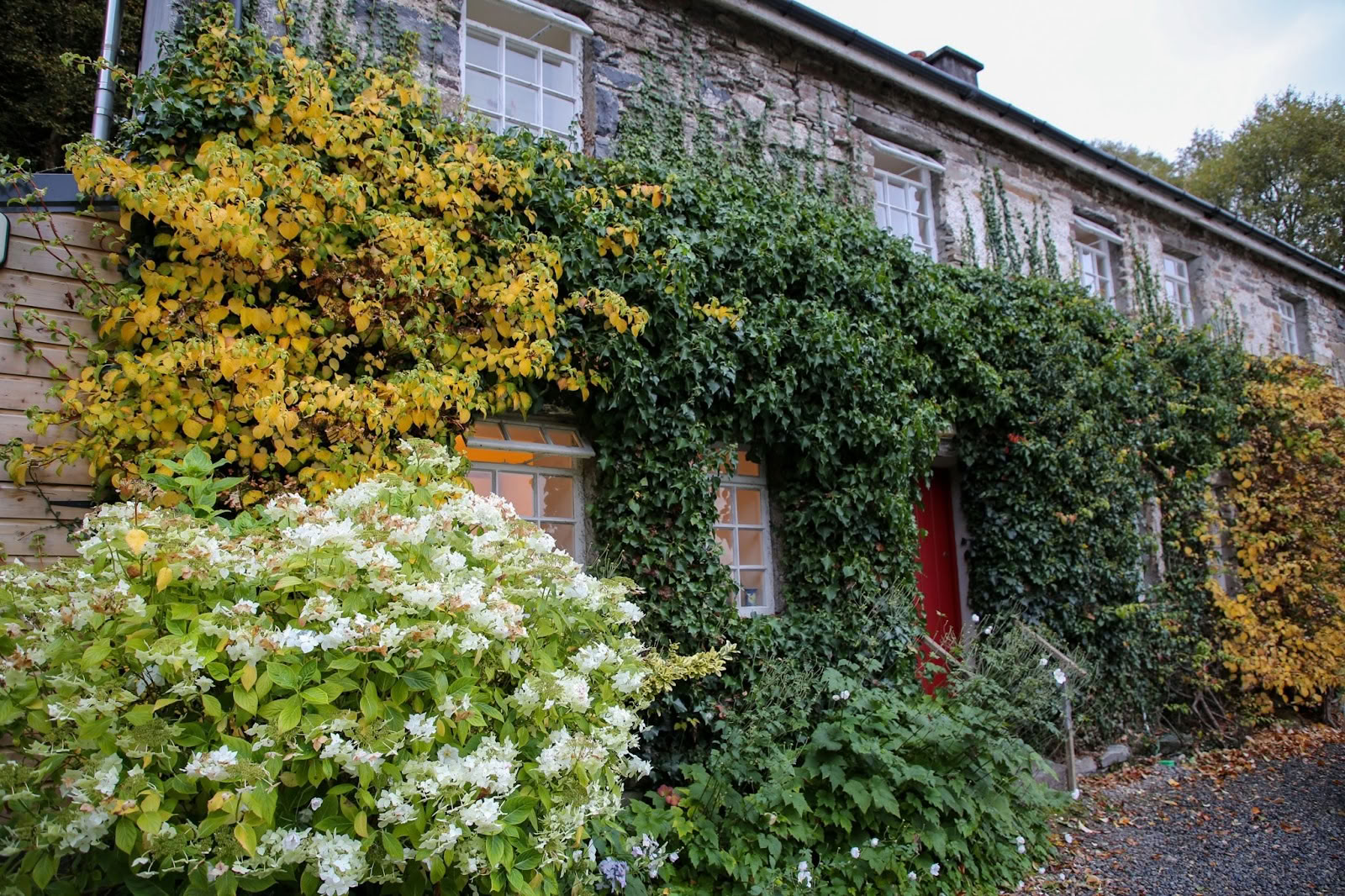 Cloona Health & Wellness Retreat