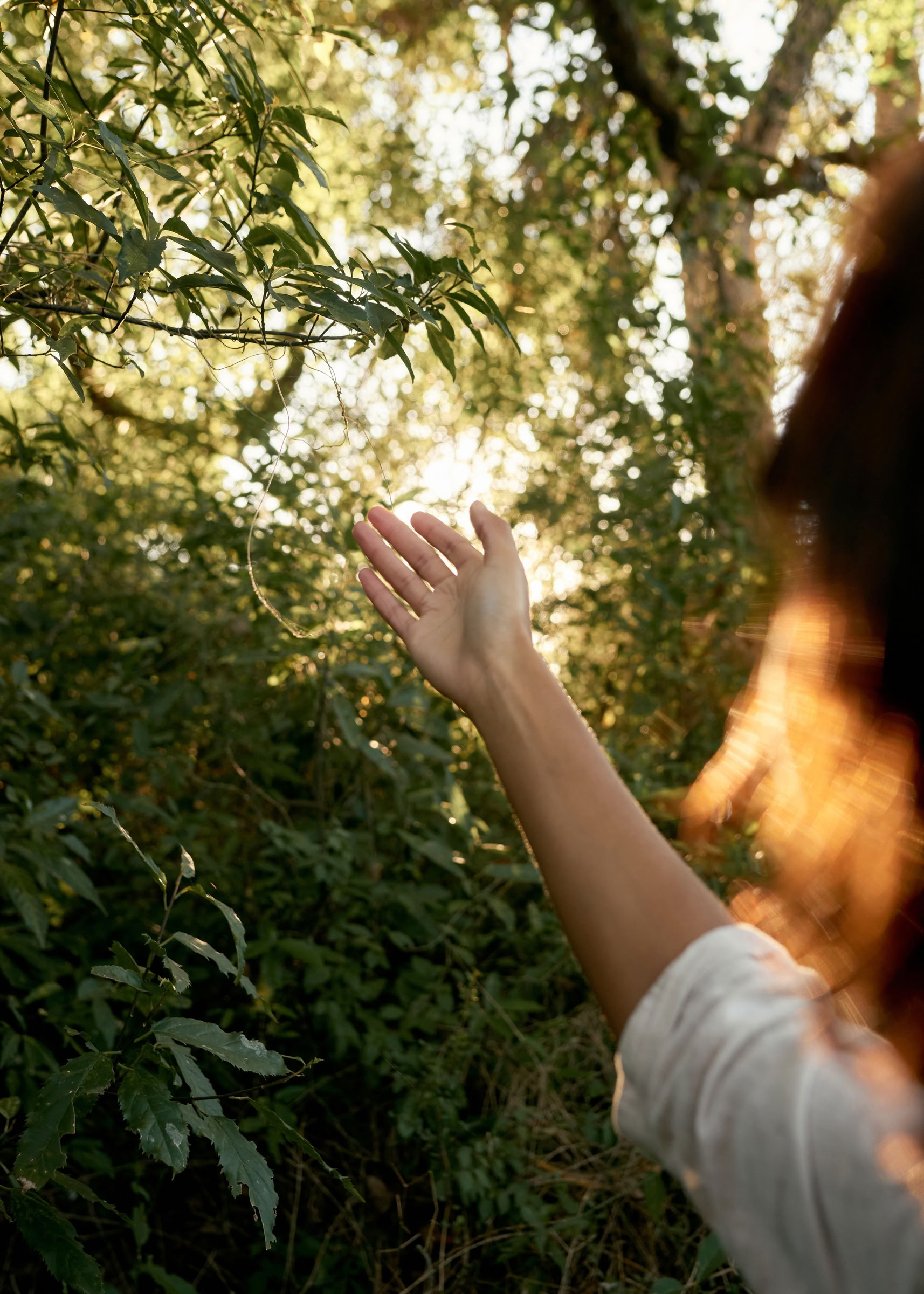 Bodhi Khaya Nature Retreat