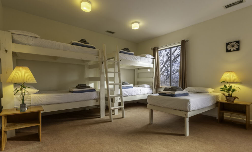 Shared Dormitory: Bottom Bunk