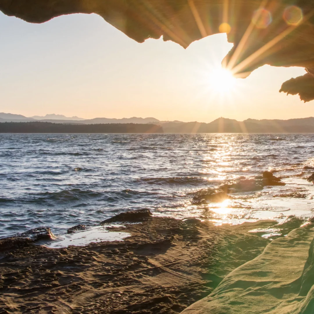 Dorm bed (upper bunk) - Conference
