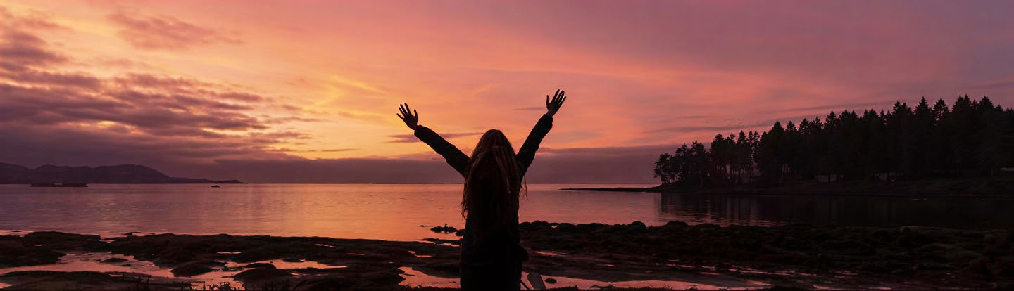 Dorm bed (lower bunk) - Conference