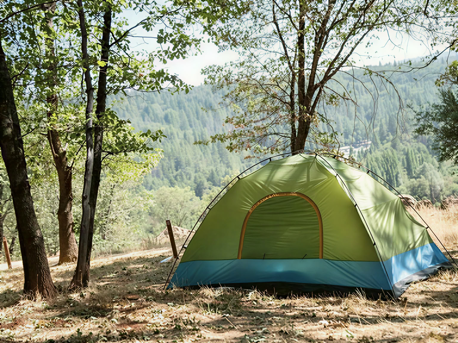 Tent/RV