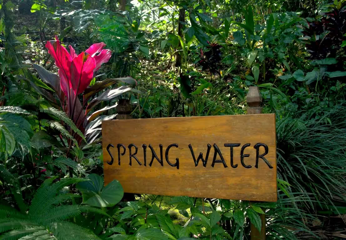 Spring Water Bungalow