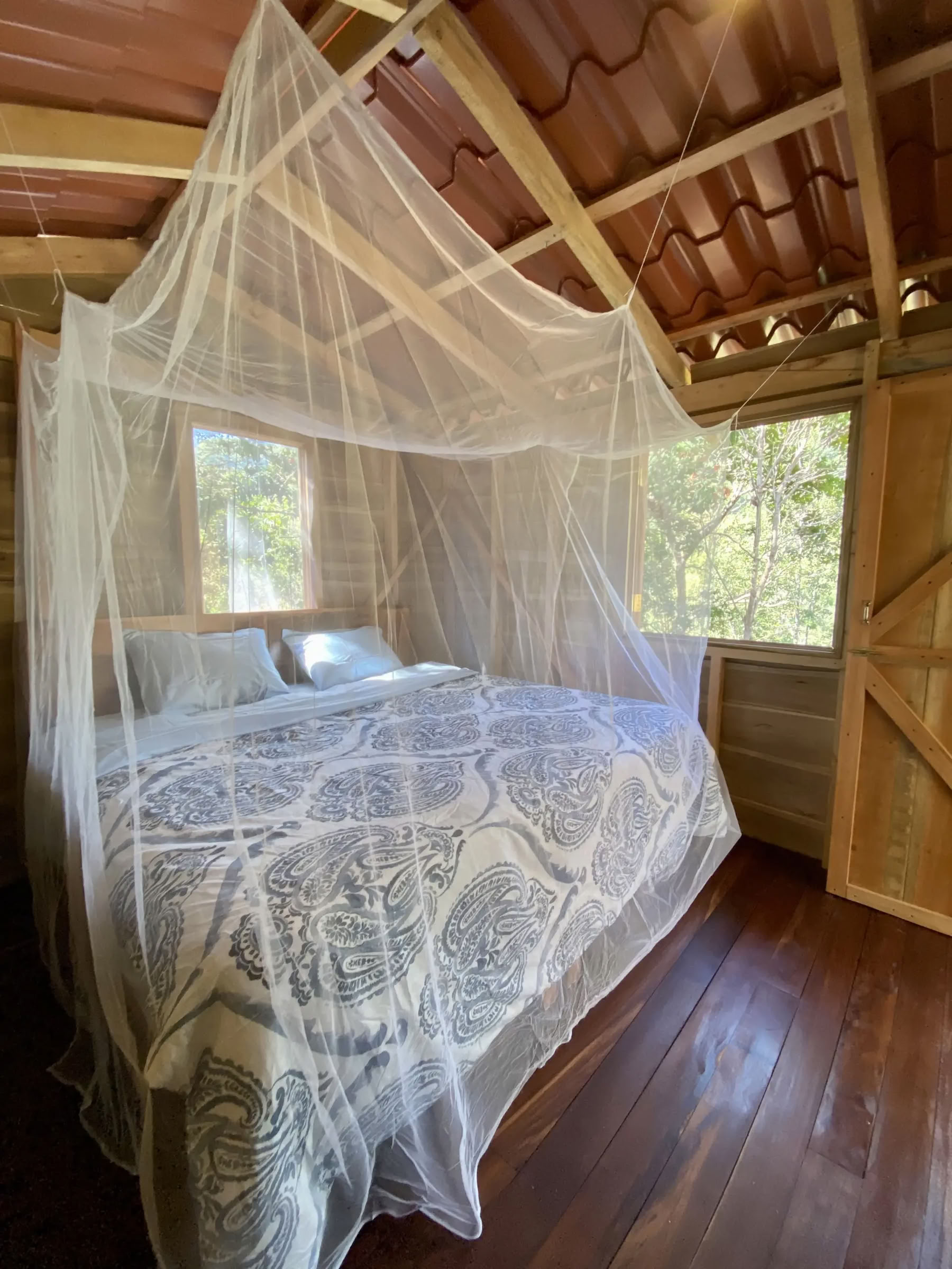 The Cabin