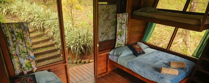 Shared Room