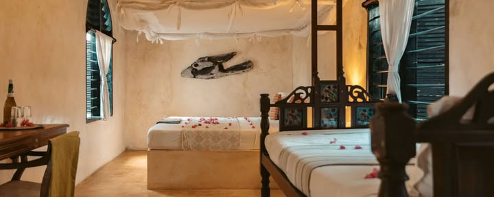Shared Twin Room